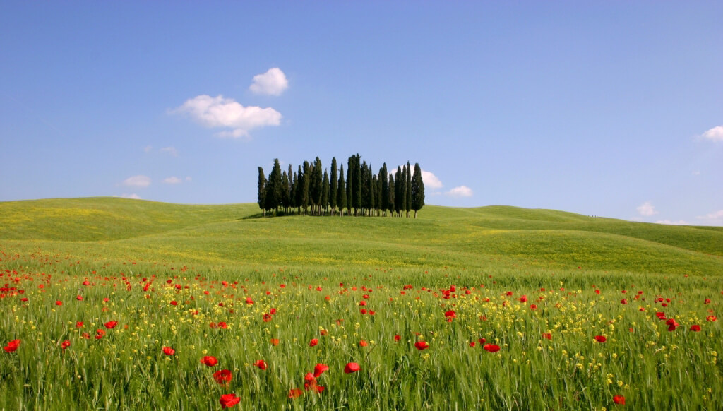 Italian Landscape